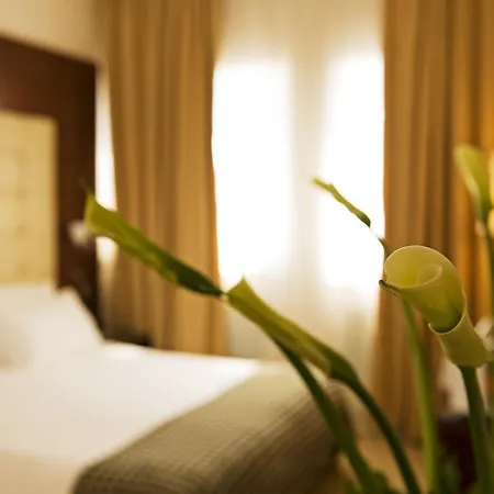 Palace Bonvecchiati Otel Venedik